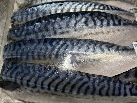 コストコ素材《塩サバの保存》と焼き鯖